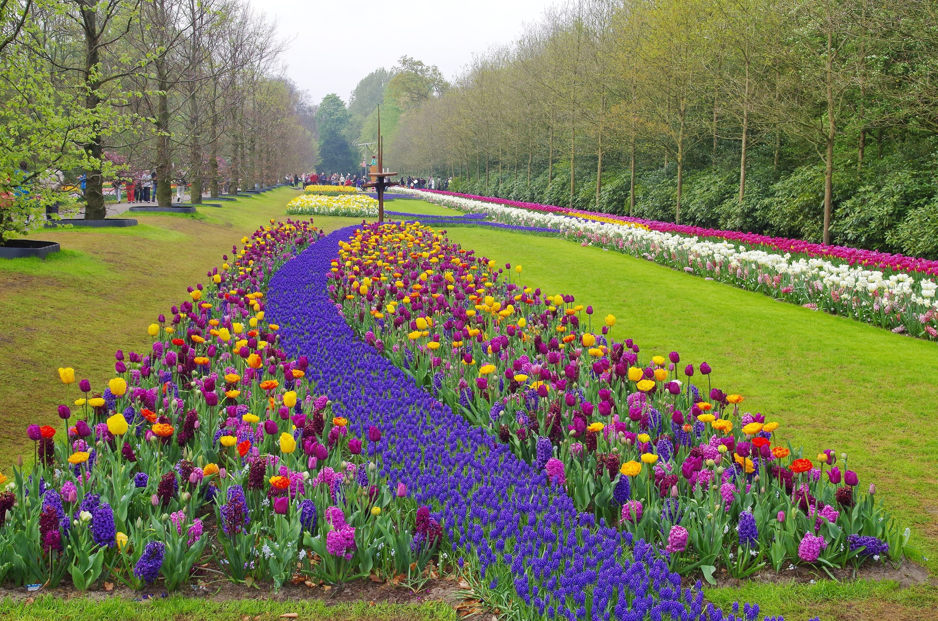 Keukenhof gardens spring day trip