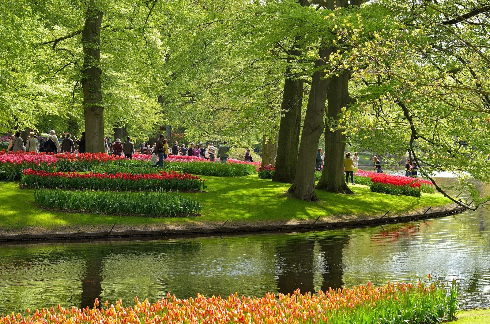 Keukenhof gardens spring day trip